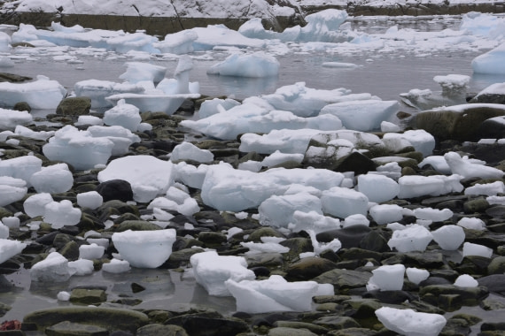 OTL31-25, Day 4, Gary-13Mar25-Tidal ice chunks-Portal Pt © Gary Miller - Oceanwide Expeditions.JPG