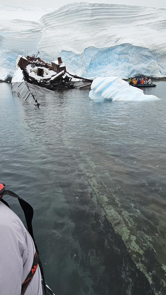 OTL31-25, Day 4, Governoren © Unknown photographer - Oceanwide Expeditions.jpg