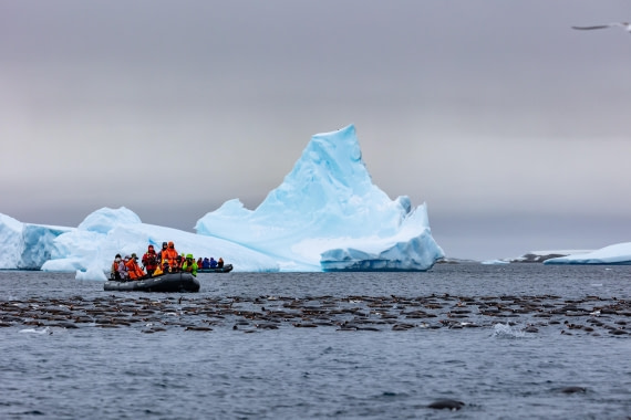 OTL31-25, Day 5, FZ1A4955 © Unknown photographer - Oceanwide Expeditions.jpg