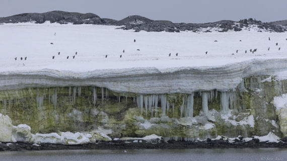 OTL31-25, Day 5, Port Charcot  3© Sara Jenner - Oceanwide Expeditions.jpg