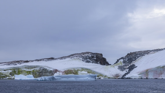 OTL31-25, Day 5, Port Charcot 1© Sara Jenner - Oceanwide Expeditions.jpg
