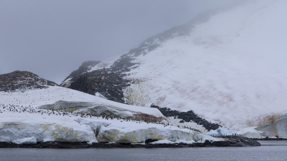OTL31-25, Day 5, Port Charcot 2© Sara Jenner - Oceanwide Expeditions.jpg