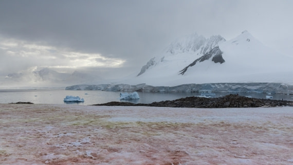 OTL31-25, Day 7, Damoy Point © Sara Jenner - Oceanwide Expeditions.jpg