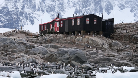 OTL31-25, Day 7, P1114052© Unknown photographer - Oceanwide Expeditions.jpg