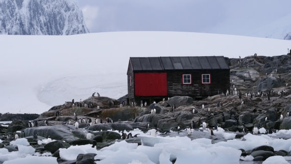 OTL31-25, Day 7, P1114054© Unknown photographer - Oceanwide Expeditions.jpg