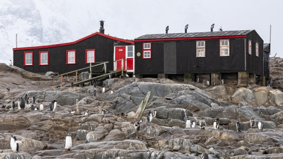 OTL31-25, Day 7, Port Lockroy 2© Sara Jenner - Oceanwide Expeditions.jpg