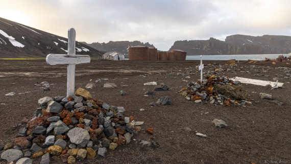 OTL31-25, Day 9, Whalers Bay 1© Sara Jenner - Oceanwide Expeditions.jpg