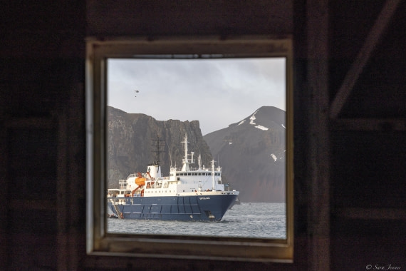 OTL31-25, Day 9, Whalers Bay 4© Sara Jenner - Oceanwide Expeditions.jpg