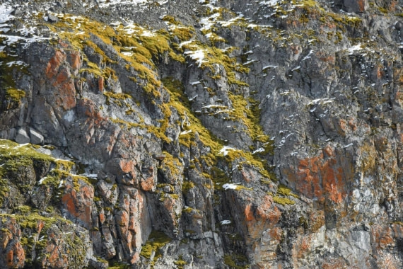 HDS29-25, P MossAndLichen DSC_5949_comp © Karl Phillips - Oceanwide Expeditions.jpg