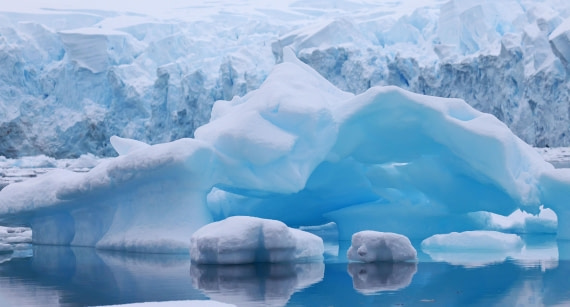 Paradise bay iceberg