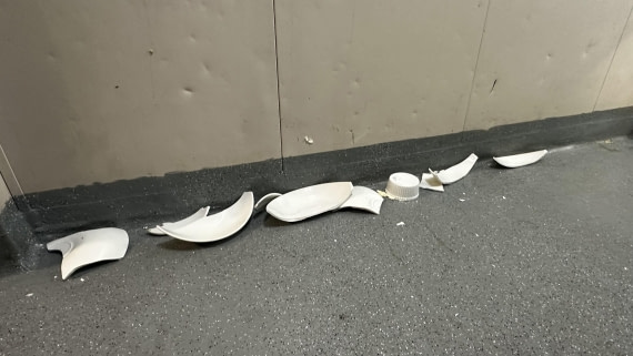 PLA32-25, Day 3, IMG_0362 © Unknown photographer - Oceanwide Expeditions.jpg