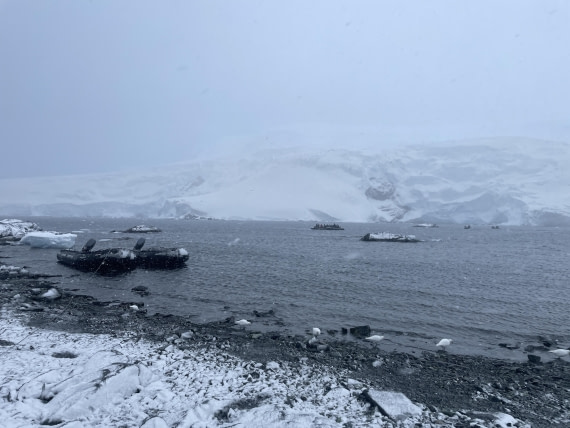 PLA32-25, Day 5, IMG_0382 © Unknown photographer - Oceanwide Expeditions.JPG
