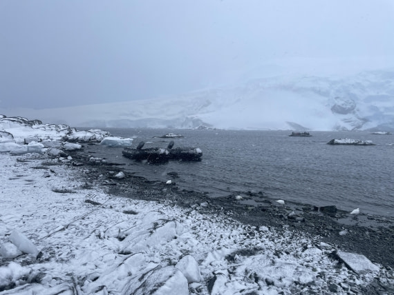 PLA32-25, Day 5, IMG_0383 © Unknown photographer - Oceanwide Expeditions.JPG