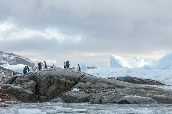 PLA32-25, Day 5, Marco_ (14) © Marco Rosso - Oceanwide Expeditions.jpg