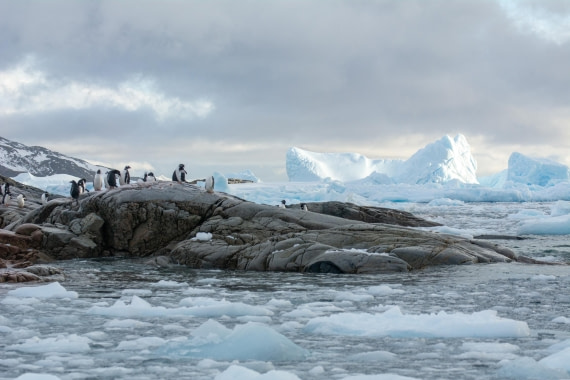 PLA32-25, Day 5, Marco_ (16) © Marco Rosso - Oceanwide Expeditions.jpg