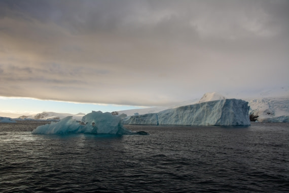 PLA32-25, Day 5, Patagonia-184 © Pelin Asfuroglu - Oceanwide Expeditions.jpg