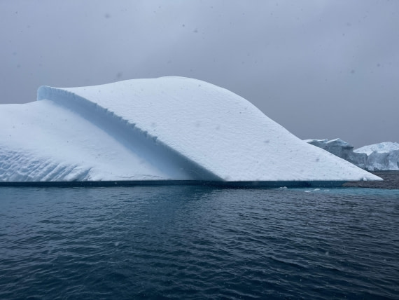 PLA32-25, Day 6, IMG_8418 © Unknown photographer - Oceanwide Expeditions.jpg