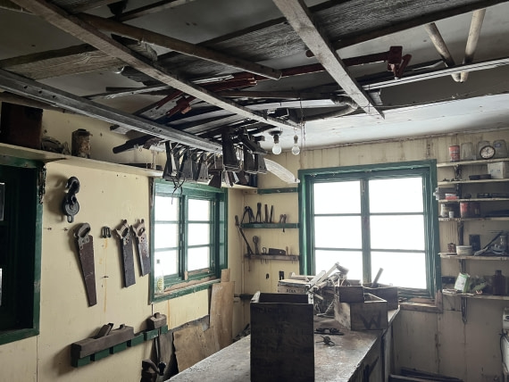 PLA32-25, Day 7, IMG_3557 © Unknown photographer - Oceanwide Expeditions.JPG