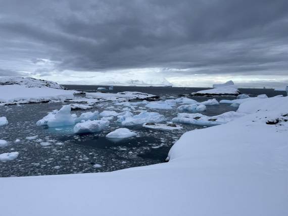 PLA32-25, Day 7, IMG_3559 © Unknown photographer - Oceanwide Expeditions.JPG