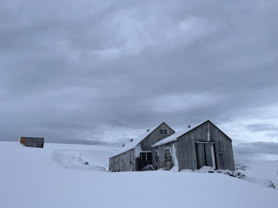 PLA32-25, Day 7, IMG_3560 © Unknown photographer - Oceanwide Expeditions.JPG