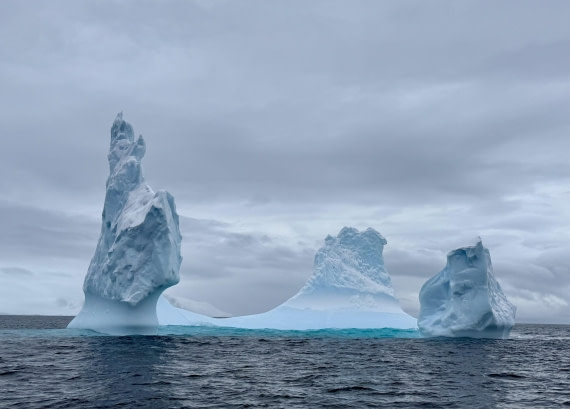 PLA32-25, Day 7, IMG_7957 © Unknown photographer - Oceanwide Expeditions.jpg