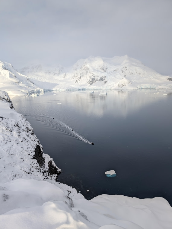 PLA32-25, Day 8, PXL_20250330_124919709 © Unknown photographer - Oceanwide Expeditions.jpg
