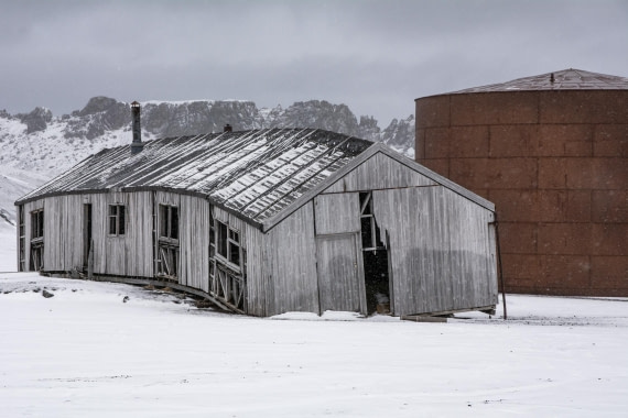 PLA32-25, Day 9, _DSC0435 © Unknown photographer - Oceanwide Expeditions.jpg