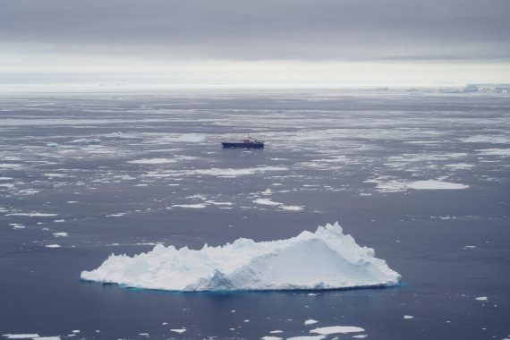 Antarctica, WeddellSea, OTL23-23, A7300428 © Angela Beckwith - Oceanwide Expeditions.JPG