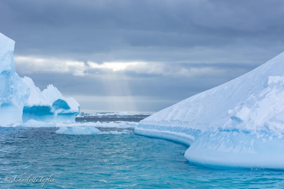 OTL32-25, Day 4, FZ1A5610-1 © Charlotte Taplin - Oceanwide Expeditions.jpg