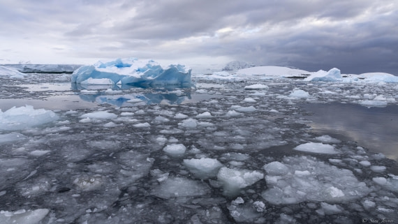 OTL32-25, Day 4, Ice © Sara Jenner - Oceanwide Expeditions.jpg