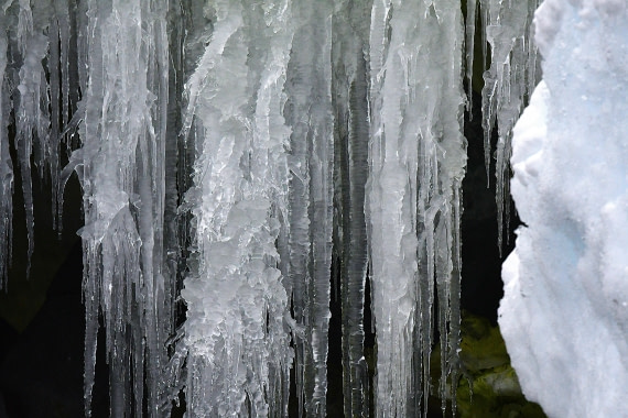 OTL32-25, Day 4, Icesecles © Saskia van der Meij - Oceanwide Expeditions.JPG