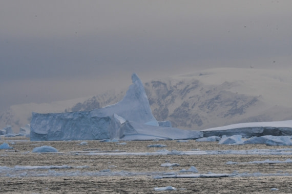 OTL32-25, Day 5, Approching Gullet -Ice © Saskia van der Meij - Oceanwide Expeditions.JPG