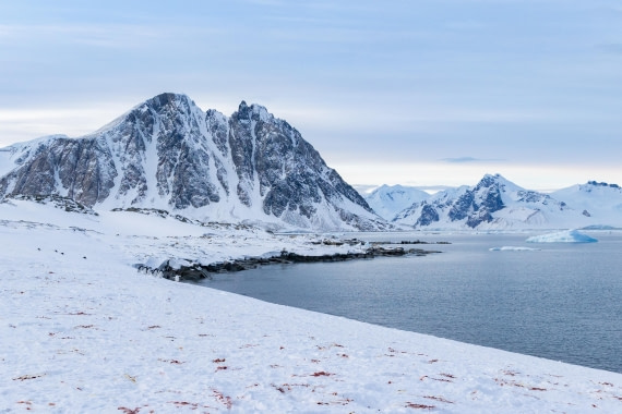 OTL32-25, Day 6, FZ1A5652 © Unknown photographer - Oceanwide Expeditions.jpg