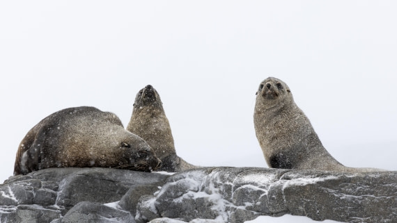 OTL32-25, Day 6, Red rock ridge 2 © Sara Jenner - Oceanwide Expeditions.jpg