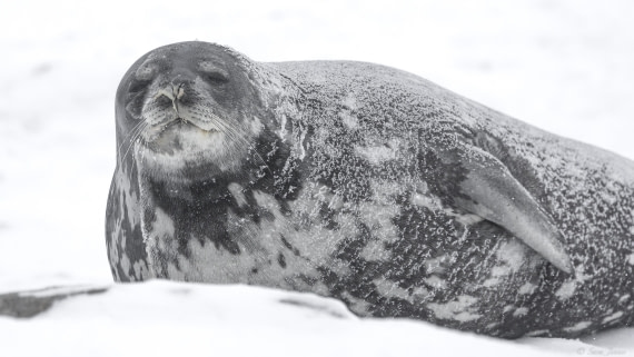 OTL32-25, Day 6, Red rock ridge 4 © Sara Jenner - Oceanwide Expeditions.jpg