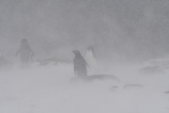 OTL32-25, Day 6, Red Rock Ridge-Sas © Saskia van der Meij - Oceanwide Expeditions.JPG