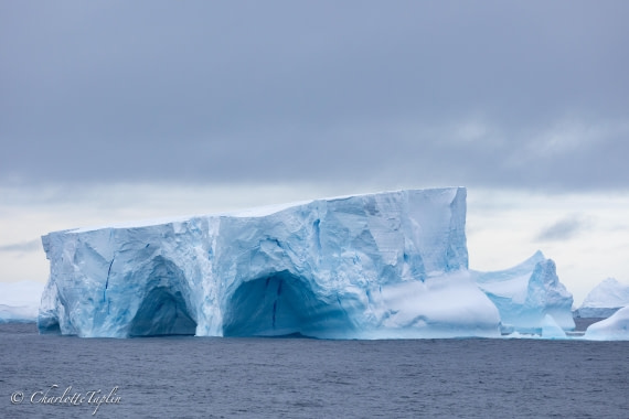 OTL32-25, Day 9, FZ1A6128 © Charlotte Taplin - Oceanwide Expeditions.jpg