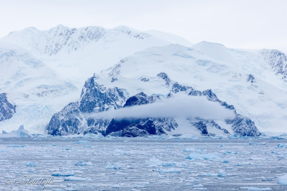 OTL32-25, Day 9, FZ1A6136 © Charlotte Taplin - Oceanwide Expeditions.jpg