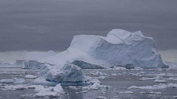 OTL32-25, Day 10, Lazarav Bay 2 © Sara Jenner - Oceanwide Expeditions.jpg