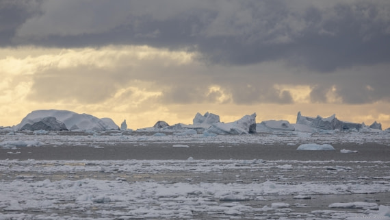 OTL32-25, Day 10, Lazarav Bay 5 © Sara Jenner - Oceanwide Expeditions.jpg