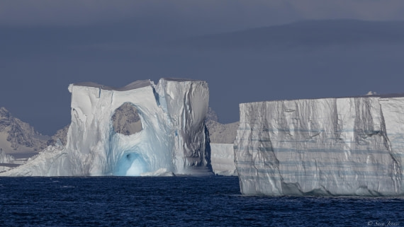 OTL32-25, Day 10, Lazarav Bay 6 © Sara Jenner - Oceanwide Expeditions.jpg