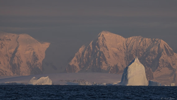 OTL32-25, Day 11, Renaud island 1 © Sara Jenner - Oceanwide Expeditions.jpg