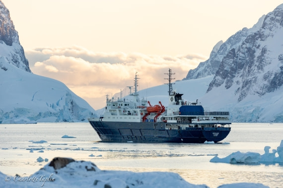 OTL32-25, Day 12, FZ1A6564 © Charlotte Taplin - Oceanwide Expeditions.jpg