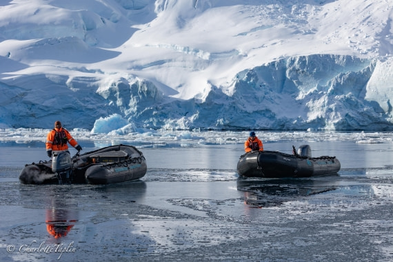 OTL32-25, Day 12, FZ1A6630 © Charlotte Taplin - Oceanwide Expeditions.jpg