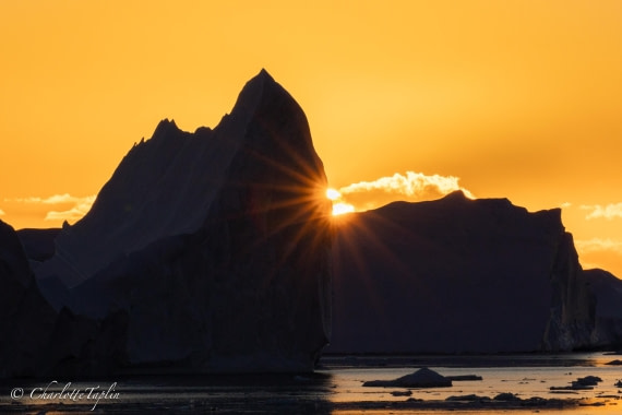 OTL32-25, Day 12, FZ1A6634 © Charlotte Taplin - Oceanwide Expeditions.jpg