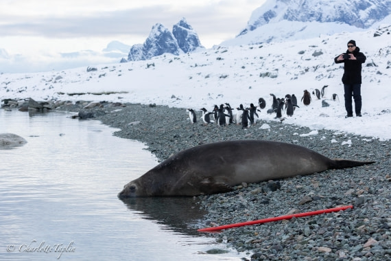 OTL32-25, Day 13, FZ1A6747 © Charlotte Taplin - Oceanwide Expeditions.jpg