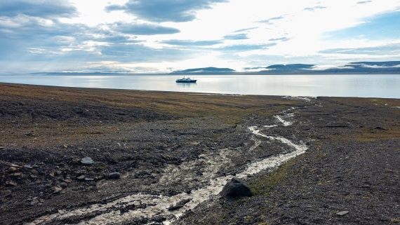 2024, Svalbard, 20240815, 104654 © Enrico Pescantini - Oceanwide Expeditions.jpg