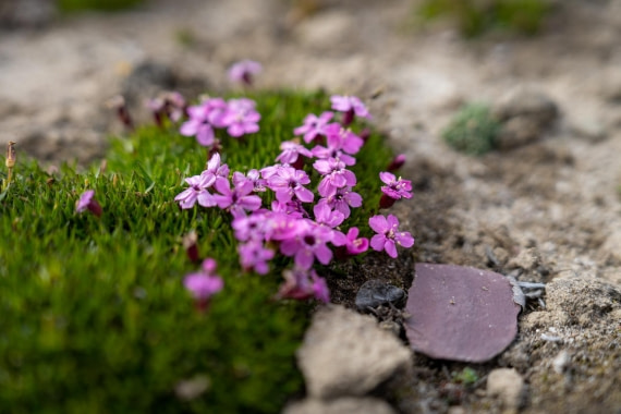 OEX-SP-GL-JM-SP_2022-114 © Geert Kroes - Oceanwide Expeditions.jpg