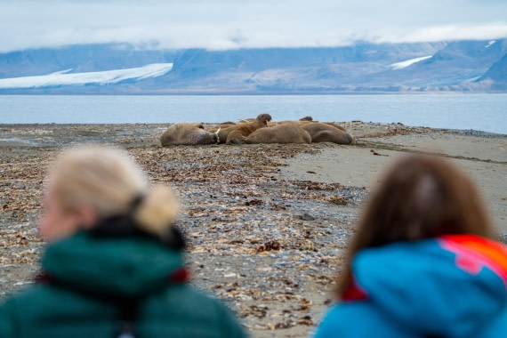OEX-SP-GL-JM-SP_2022-327 © Geert Kroes - Oceanwide Expeditions.jpg