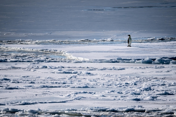 OTL28-23, McMurdo Mt Erebus Iceburg 03012023-00567.jpg © Tim Bieber - Oceanwide Expeditions.jpg